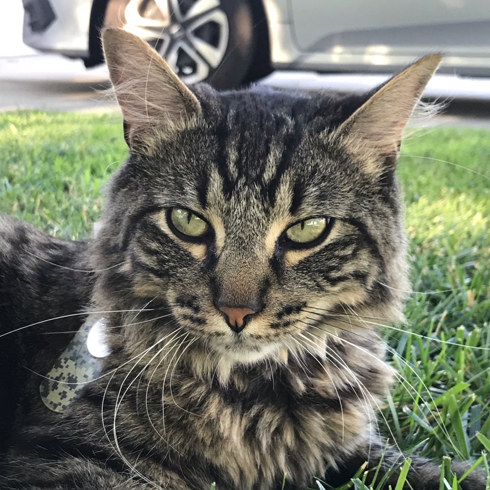 Meet your Posher, Alex